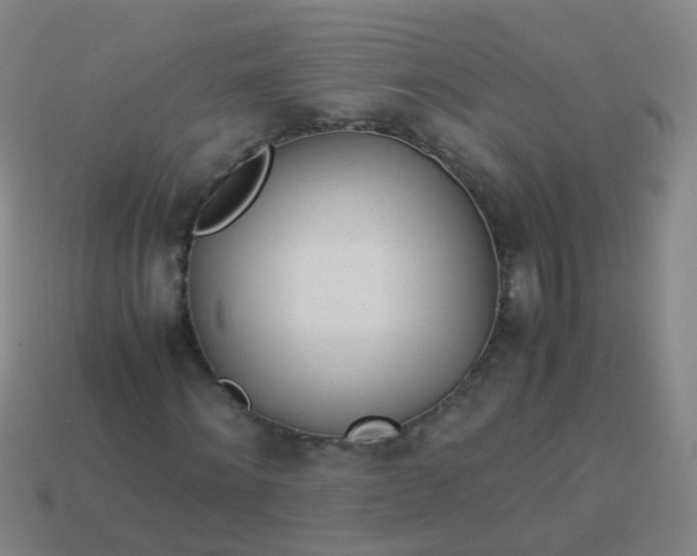 X0000114010868200910161730