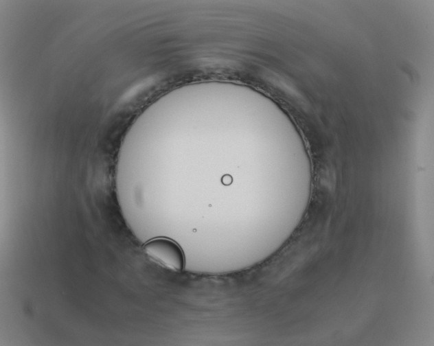 X0000114010869200910161730