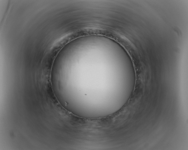 X0000114010870200910161730