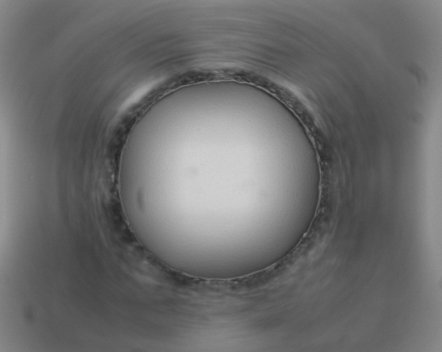 X0000114010871200910161730