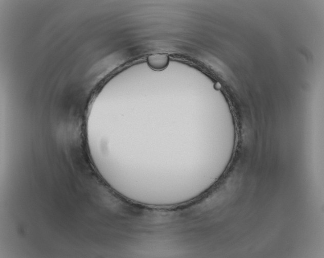 X0000114010873200910161730