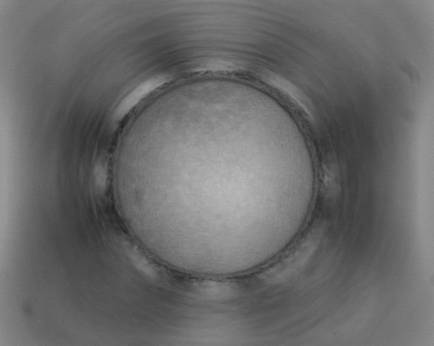 X0000114010874200910161730