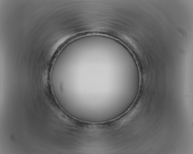 X0000114010875200910161730