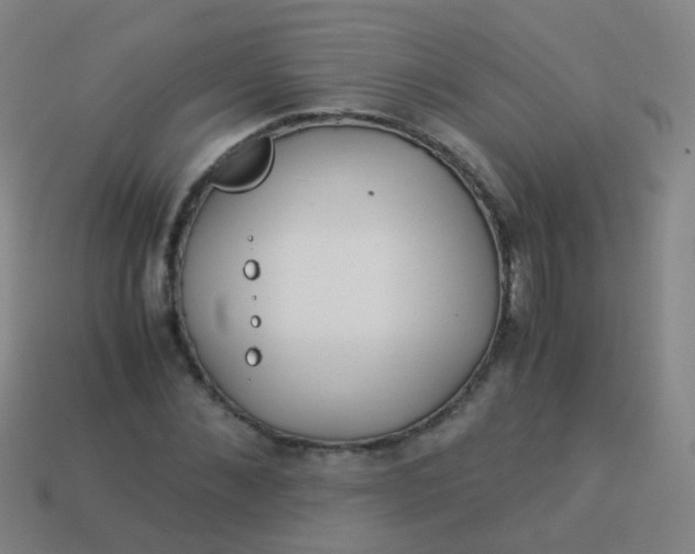 X0000114010876200910161730