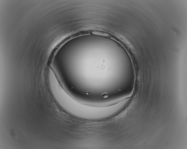 X0000114010877200910161730