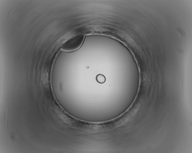 X0000114010881200910161730