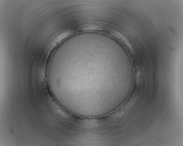 X0000114010882200910161730