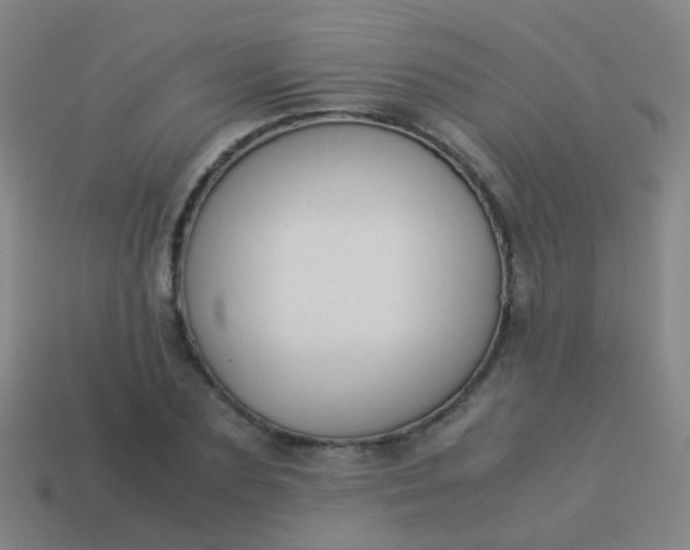 X0000114010883200910161730