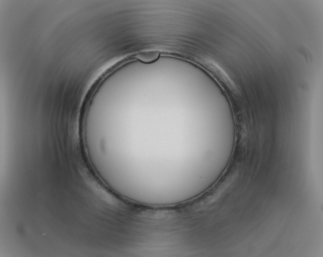 X0000114010884200910161730