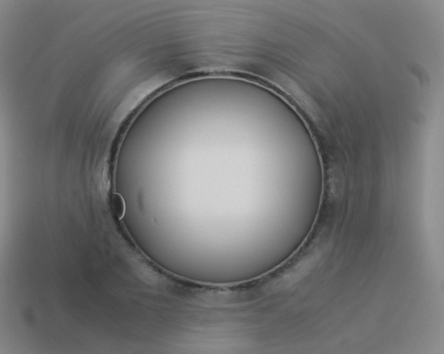 X0000114010885200910161730