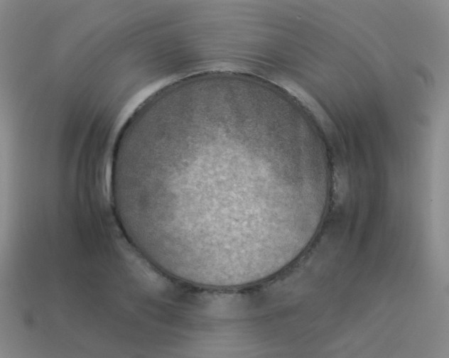 X0000114010886200910161730