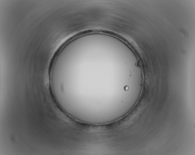 X0000114010887200910161730