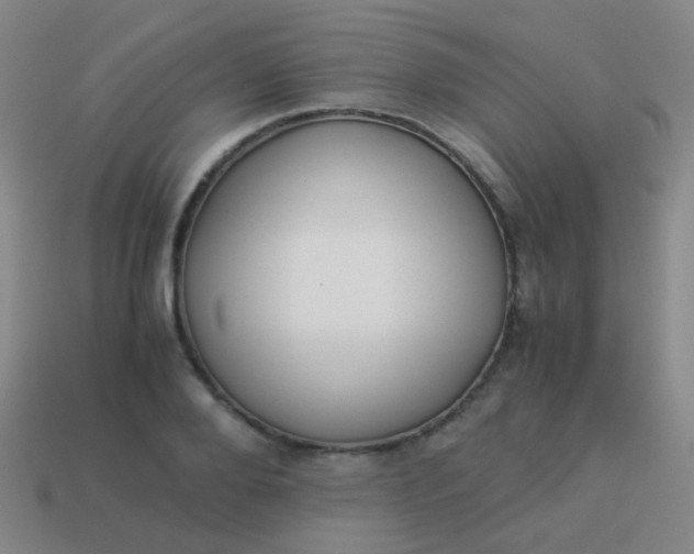 X0000114010888200910161730