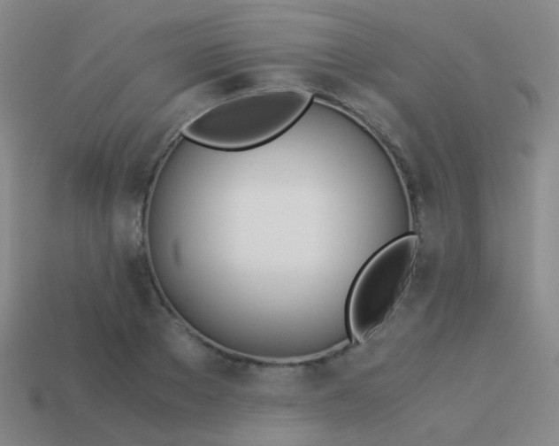 X0000114010889200910161730