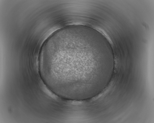 X0000114010890200910161730