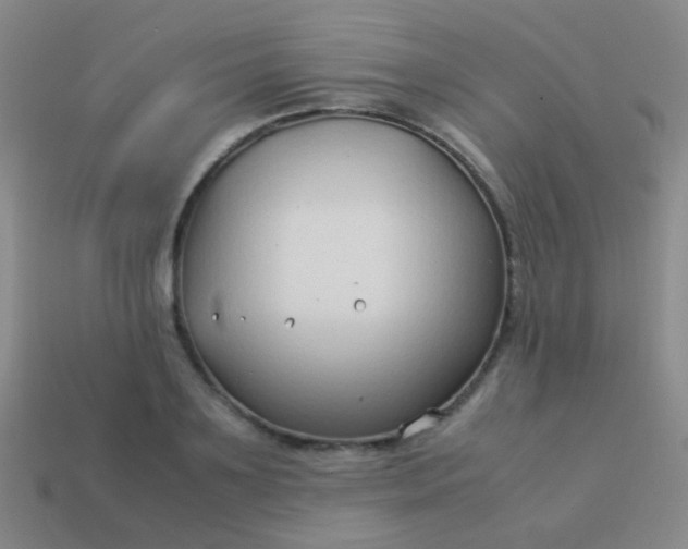 X0000114010891200910161730