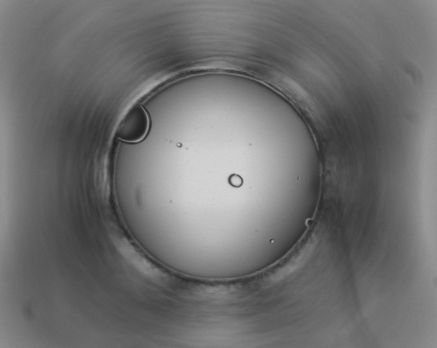 X0000114010892200910161730