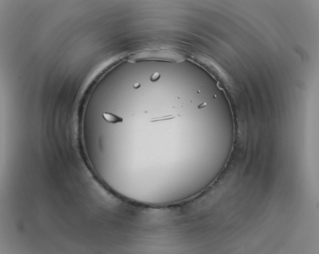 X0000114010894200910161730