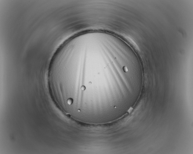 X0000114010895200910161730