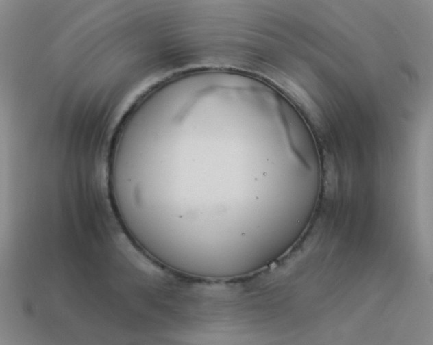 X0000114010896200910161730