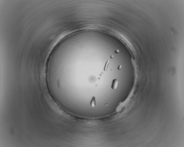 X0000114010899200910161730