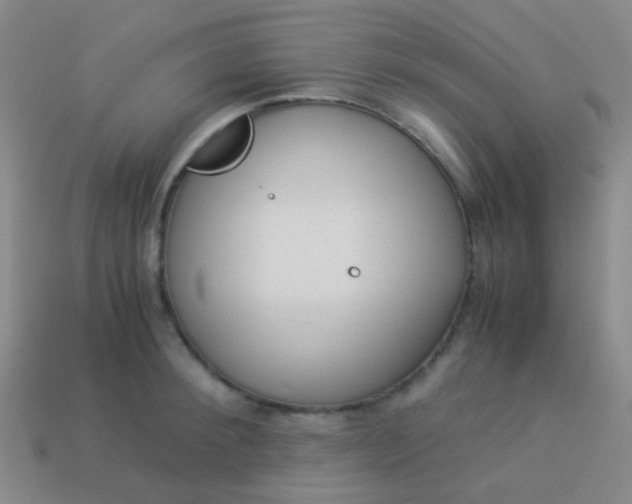 X0000114010900200910161730