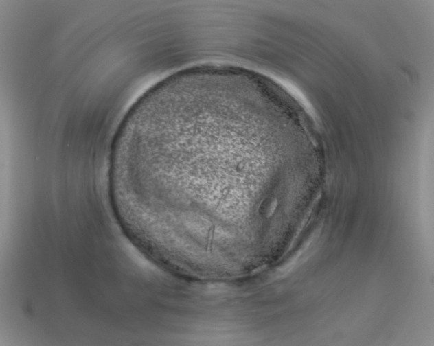 X0000114010903200910161730