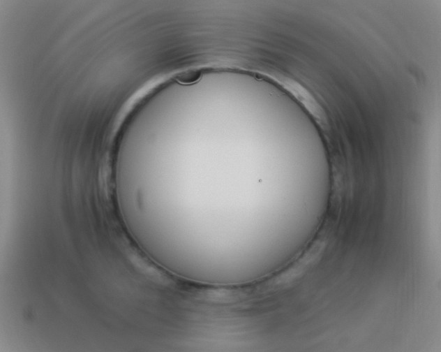 X0000114010904200910161730