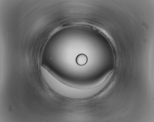 X0000114010905200910161730