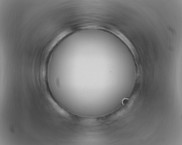 X0000114010909200910161730