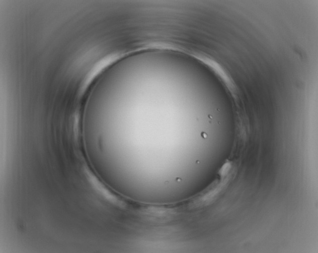 X0000114010910200910161730