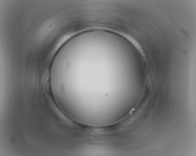 X0000114010911200910161730