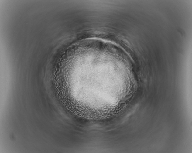 X0000114010913200910161729