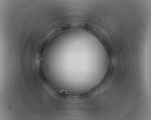 X0000114010914200910161729