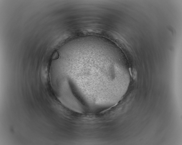 X0000114010915200910161729