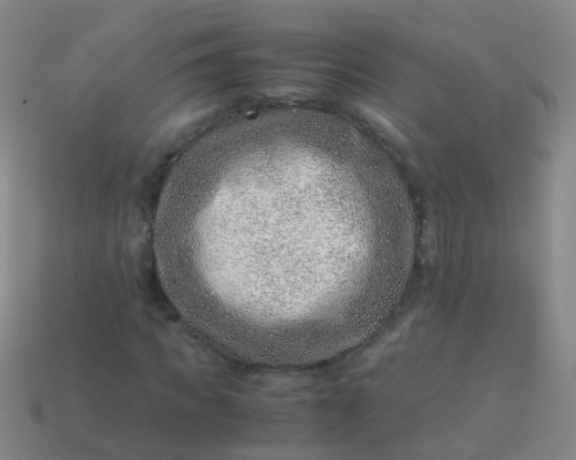 X0000114010917200910161729