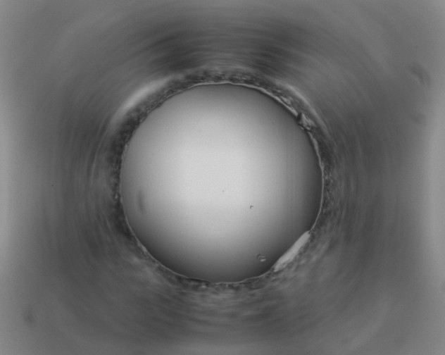 X0000114010919200910161729