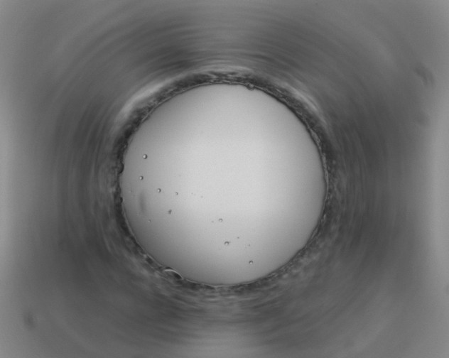 X0000114010920200910161729