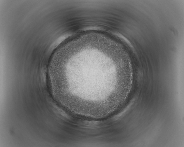 X0000114010921200910161729