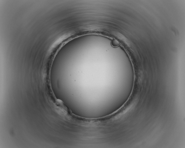 X0000114010922200910161729