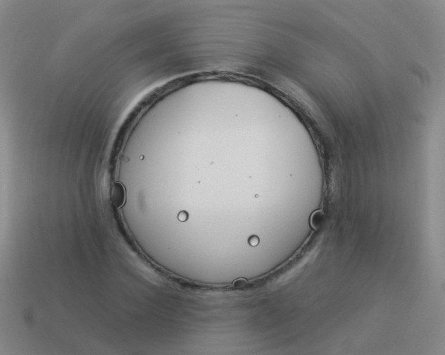 X0000114010924200910161729