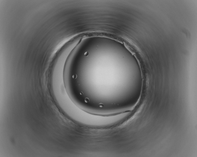 X0000114010925200910161729