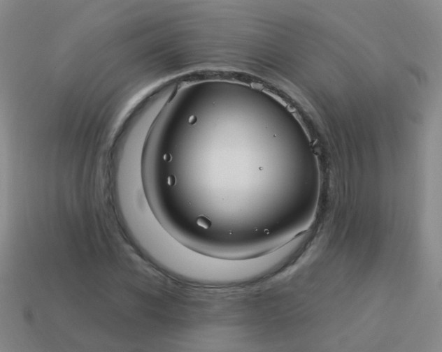 X0000114010926200910161729