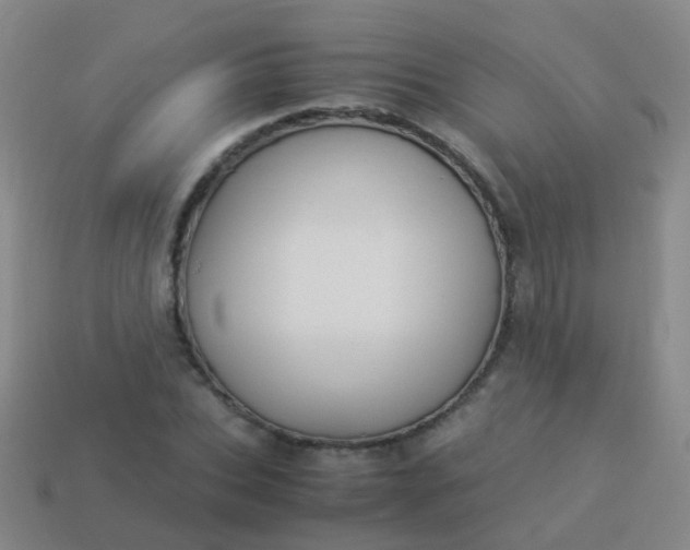 X0000114010927200910161729