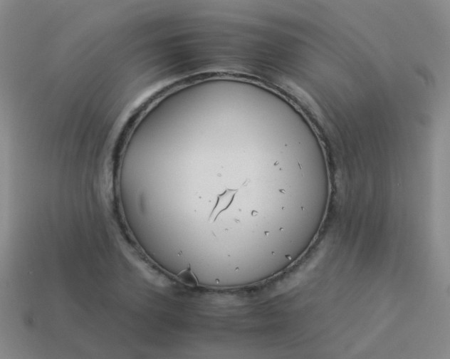 X0000114010931200910161729