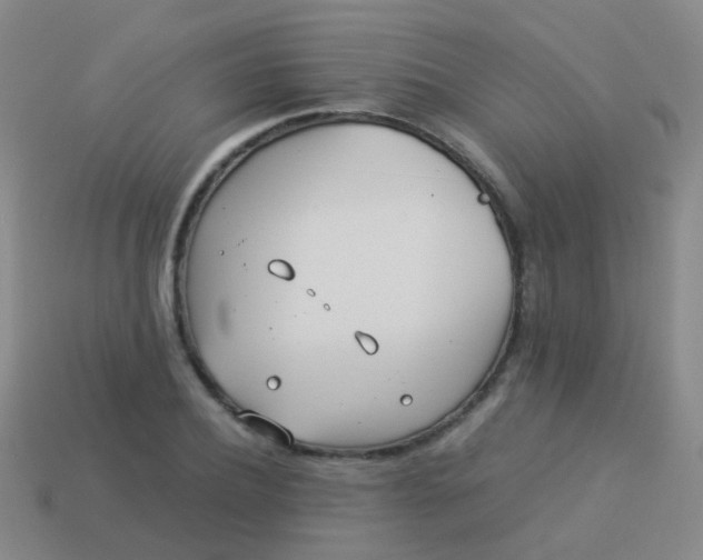 X0000114010932200910161729