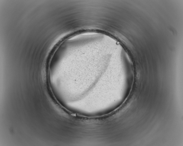 X0000114010934200910161729