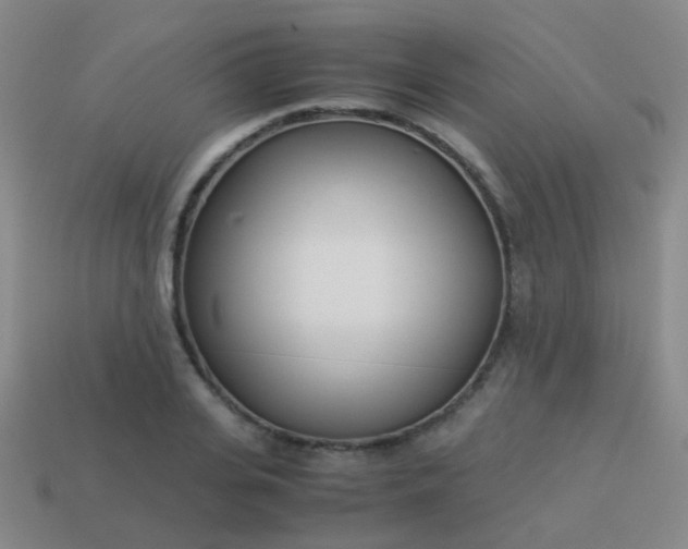 X0000114010935200910161729