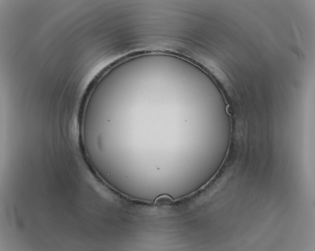 X0000114010936200910161729