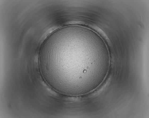 X0000114010937200910161729